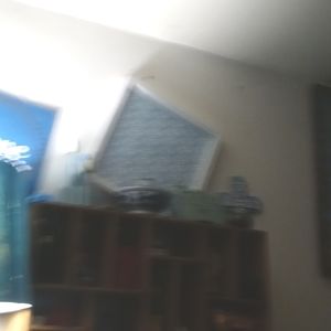 Vase and display case